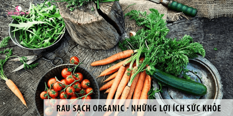 Rau sạch organic - Những lợi ích sức khỏe không ngờ đến